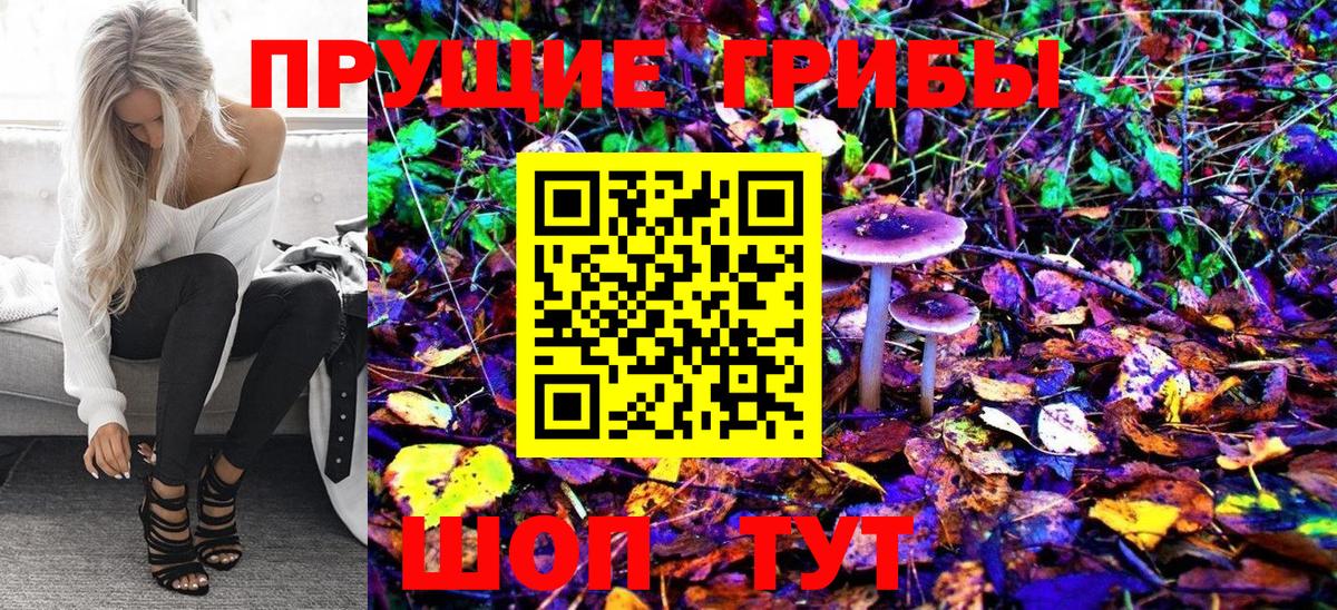 закладки  Псилоцибиновые грибы Magic Shrooms  Вход с VPN  Коломна 